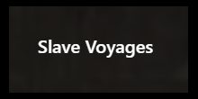 Voyages: The Trans-Atlantic Slave Trade Database