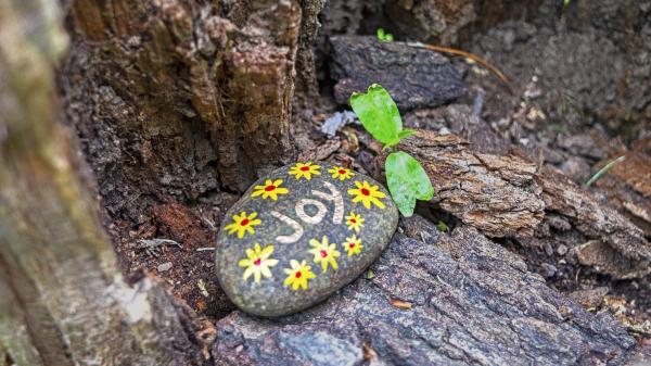 Image for event: Craft with Me: Kindness Rocks!