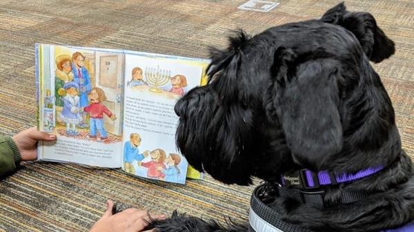 Image for event: Paws to Read
